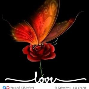 Meet your Posher, Marilynn